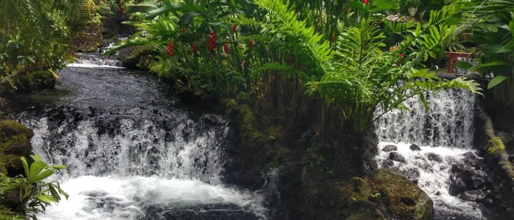 Hot springs at Tabacon Resort & Spa Costa Rica