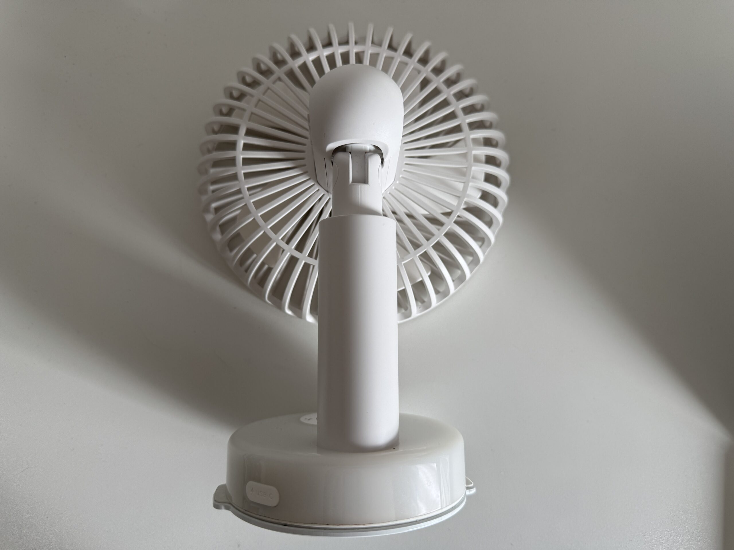 Venty Fan lying down