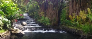 Tabacon Resort and Spa Hot Springs
