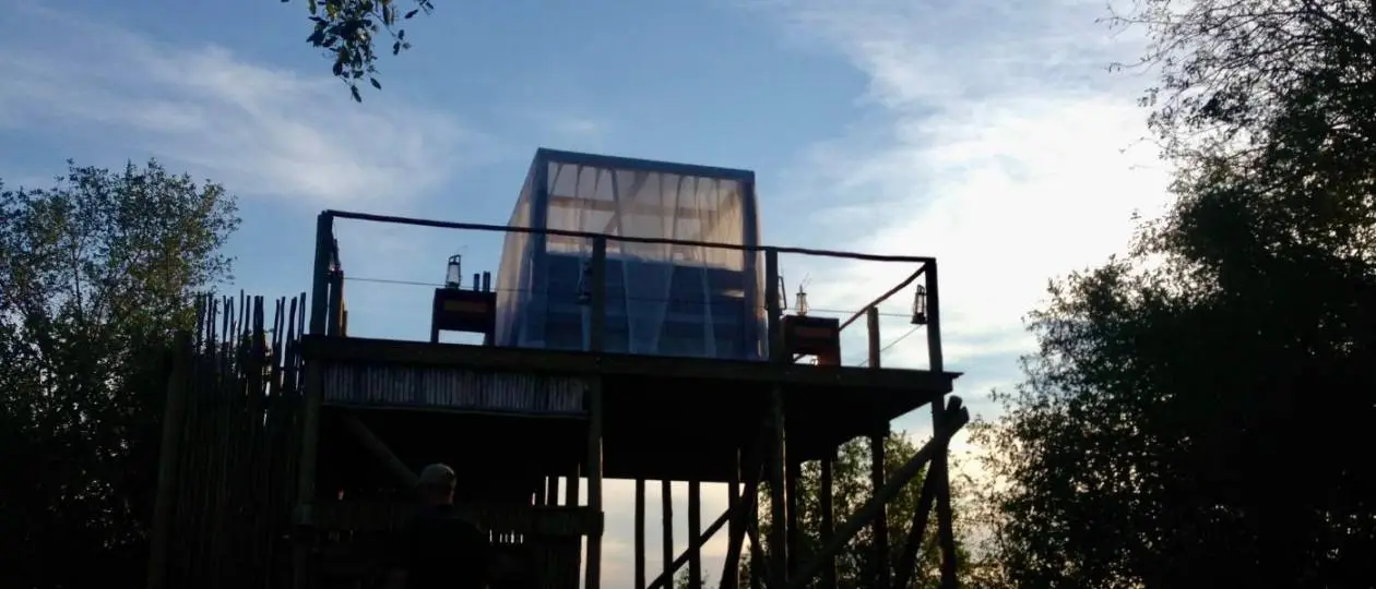 Lion Sands River Lodge Review: The Best Luxury South Africa Safari