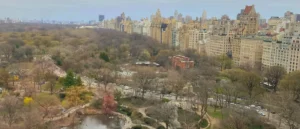 The view of Manhattan from a hotel room at the Park Lane New York