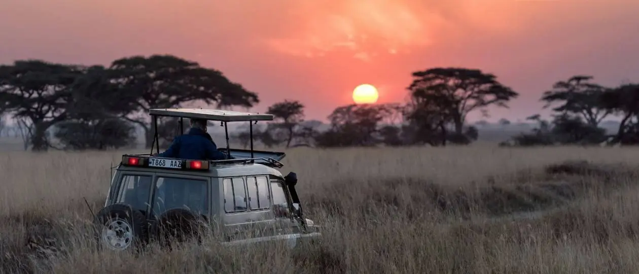 How Much to Tip a Safari Guide? The Ultimate Safari Tipping Handbook
