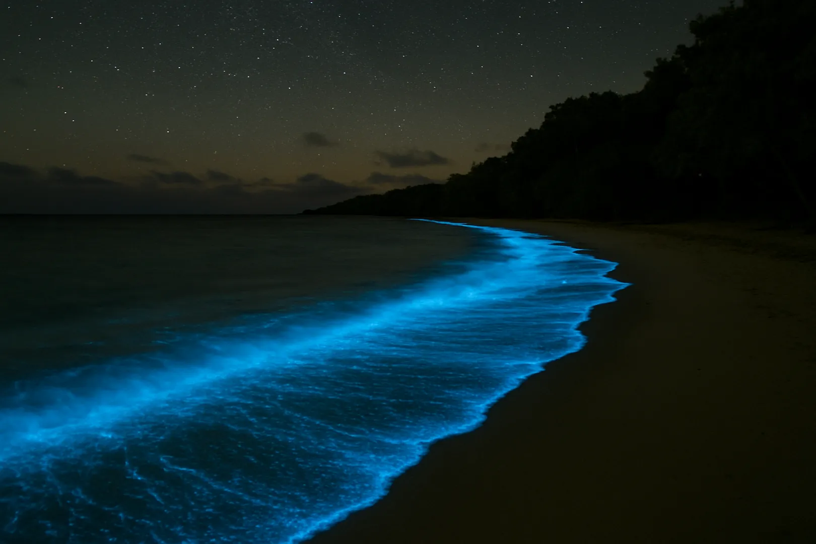 The Most Beautiful Bioluminescent Beaches