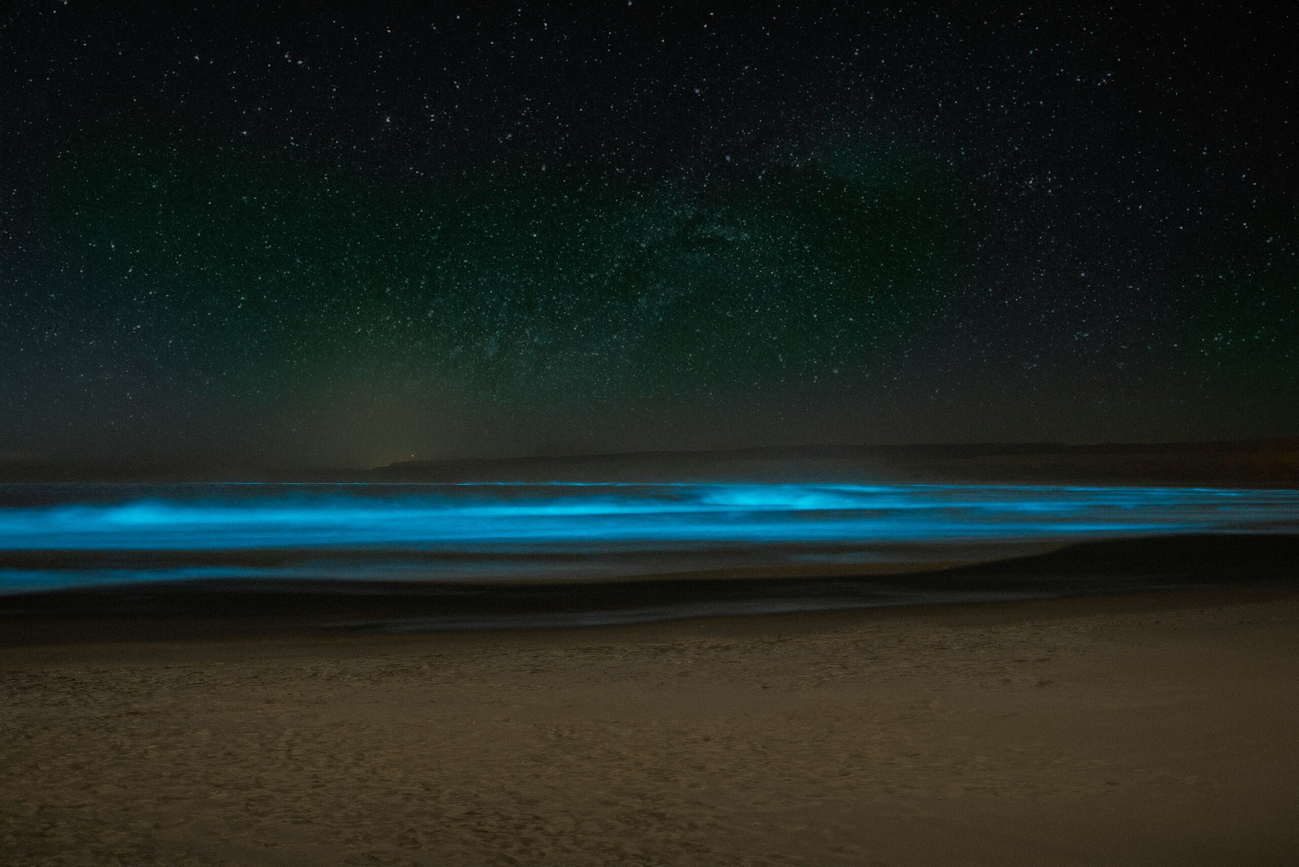 Bioluminescent bay