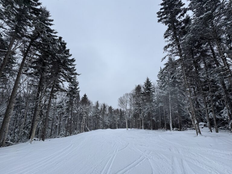 Winter in Bretton Woods