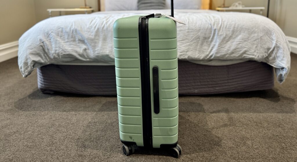 Away The Medium Checked bag