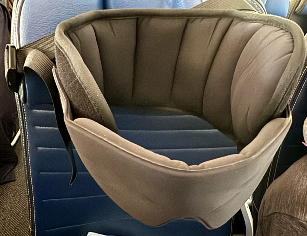 Close-up of the Sarisun travel pillow.
