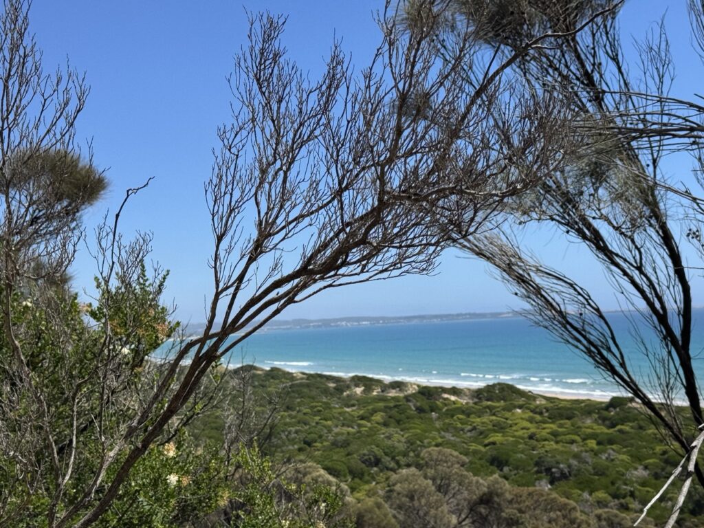 View from Arthur's Knob hike in Tasmania