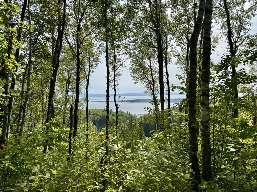 Foret Marine Hike Baie Saint Paul