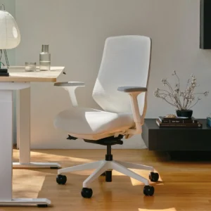 Branch Ergonomic Chair Pro
